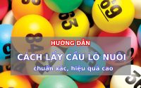 Hướng dẫn cách lấy cầu lô chuẩn xác, hiệu quả